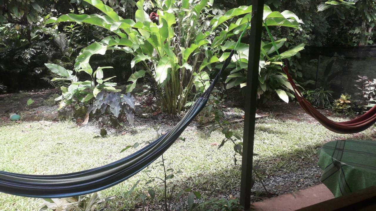 Casa Arlecchino Apartment Puerto Viejo de Talamanca Екстериор снимка